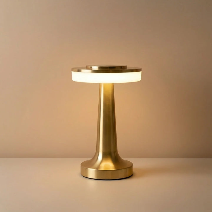 Metallic Night Lamp
