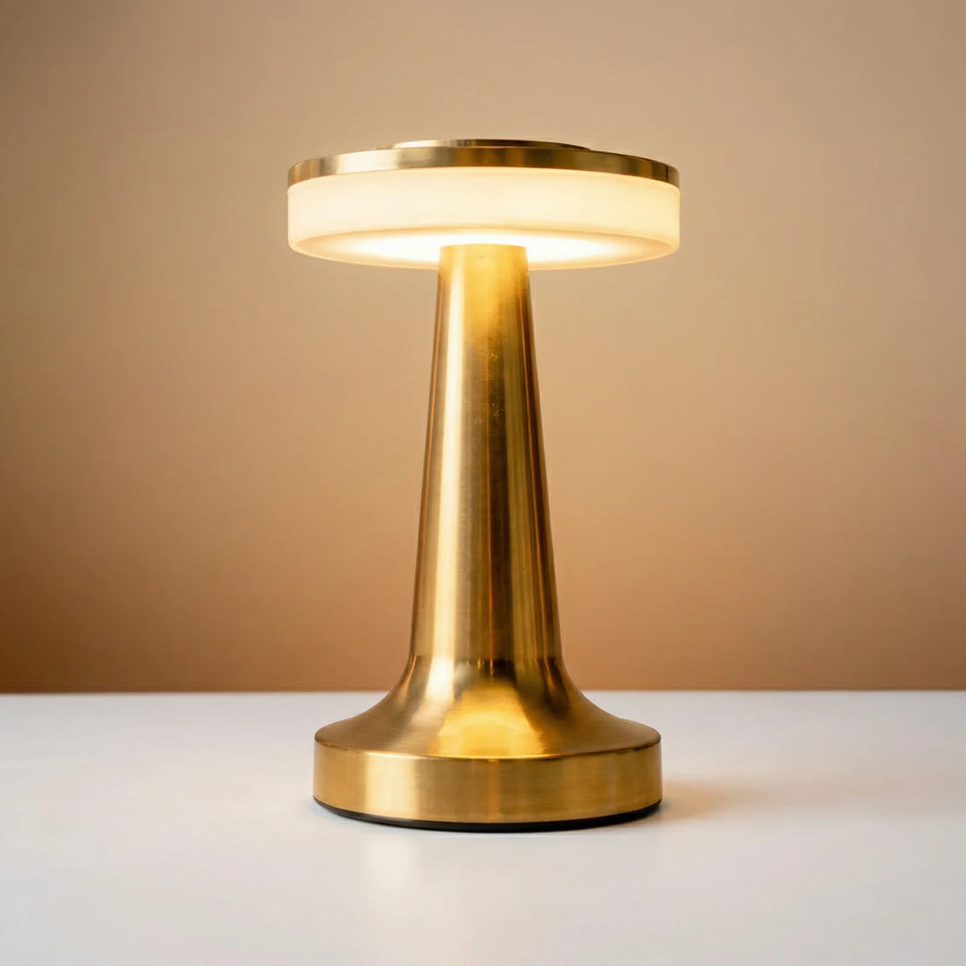 Metallic Night Lamp